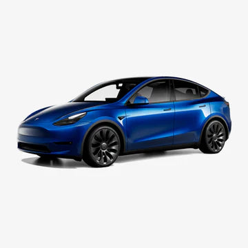 Model Y (2020 - 2024)